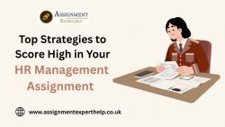 Professional HR Assignment Help for Accurate and Timely Submissions