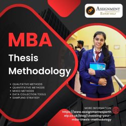 MBA Thesis Methodology Explained | Research Methods Infographic