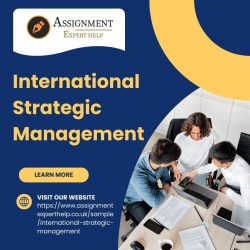 International Strategic Management Infographic | Global Business Strategy