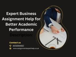 Expert Business Assignment Help for Better Academic Performance