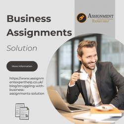 Business Assignments Solution – Expert Academic Support for Students