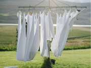 Hand-picked Wedding Dress Cleaner in Adelaide