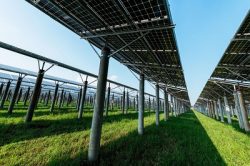 Ohm Power – Understanding On Grid Solar System Price and Choosing the Right Solar Panels for Home