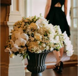 How Kholisani Solo Continues to Make a Positive Difference