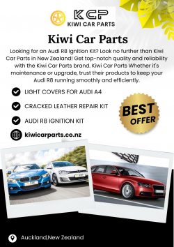 Complete Cracked Leather Repair Kit for Cars & Sofas