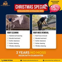 Give Your Home the Ultimate Christmas Shine