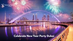 Celebrate New Year Party Dubai