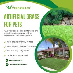 Pet-Friendly Artificial Grass for Clean & Durable Outdoor Spaces