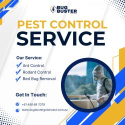 Professional Commercial Pest Control Services in Gold Coast