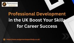 Enhancing Professional Development Opportunities for UK Students & Professionals