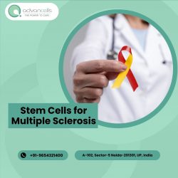Stem Cells for Multiple Sclerosis​