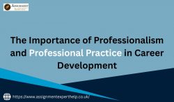 Understanding the Significance of Professionalism in Professional Practice