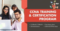 CCNA Training Center in Noida