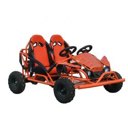 Off-Road Karting: From Paved Circuits to Natural Terrain Adventures