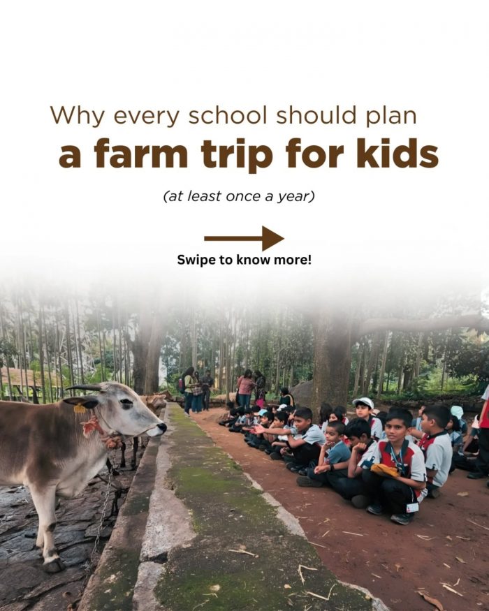 Why Every School Should Plan a Farm Trips for Kids