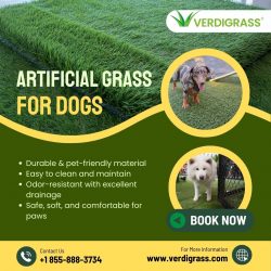 Best Artificial Grass for Dogs – Clean & Durable