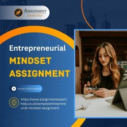 Entrepreneurial Mindset Assignment – Academic Support for Students
