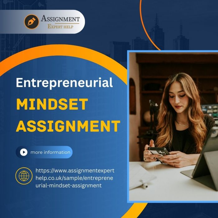 Entrepreneurial Mindset Assignment – Academic Support for Students