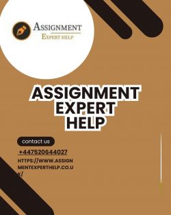 Targeted Assignment Expert Help for Student Success