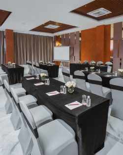 Best hotel for business meetings in Jaipur – Pink Pearl Hotel