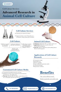 Cell Culture Services: Advanced Research in Animal Cell Culture