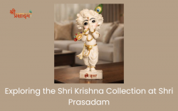 Exploring the Shri Krishna Collection at Shri Prasadam