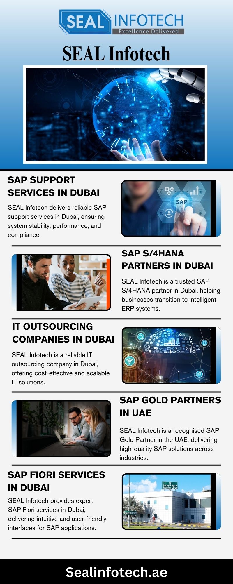 Enterprise Application Services in Dubai | SEAL Infotech