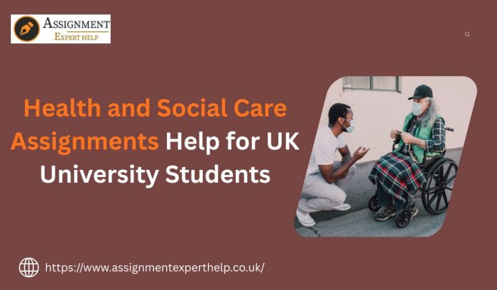 Health and Social Care Assignment Help for UK University Students