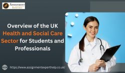 Health and Social Care Sector in the UK Key Challenges and Opportunities