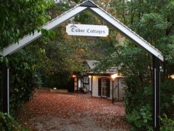 Airbnb Property Management in Dandenong Ranges: A Complete Guide for Hosts