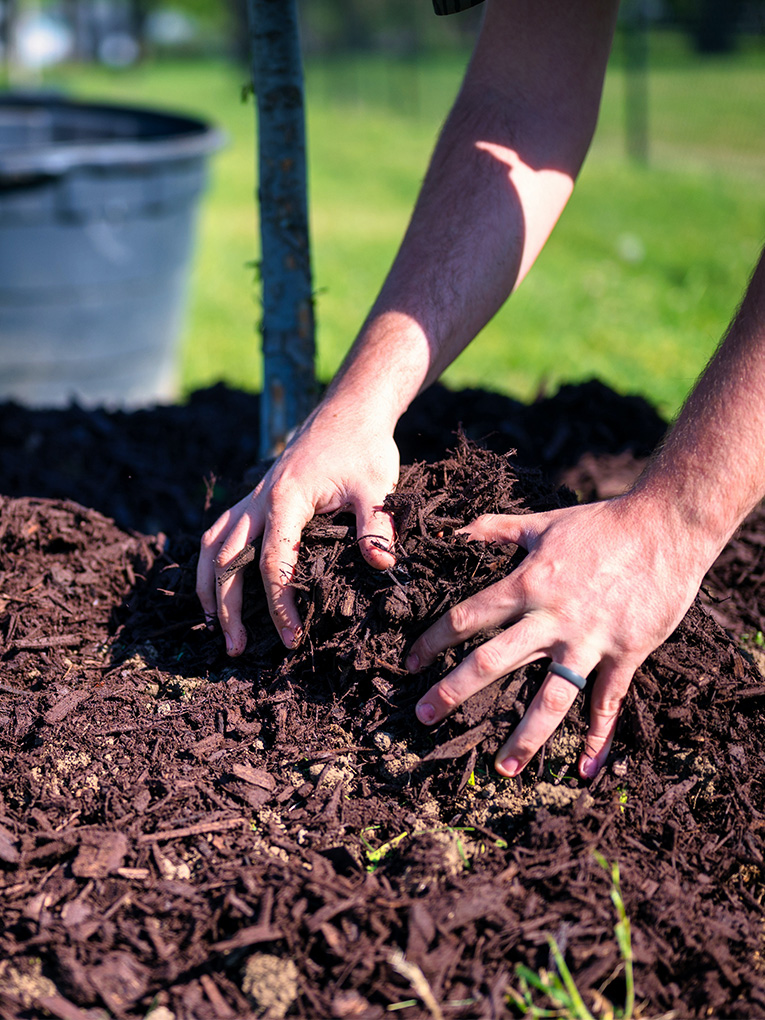 Mulching in Melbourne