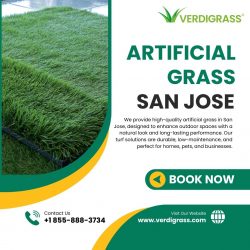 Premium Artificial Grass in San Jose