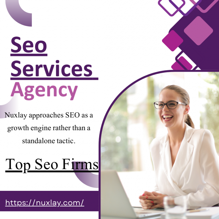 Seo services agency Nuxlay Focused on Rankings Revenue and ROI