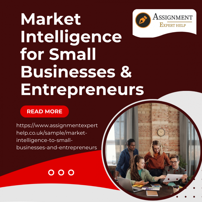 Market Intelligence for Small Businesses & Entrepreneurs