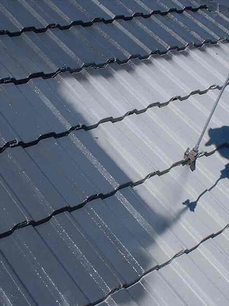 Regular Roof Cleaning in Brisbane