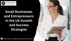 Small Businesses and Entrepreneurs in the UK Growth and Success Strategies