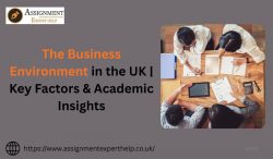 Understanding the Business Environment | UK Market Analysis Guide