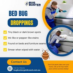 What Do Bed Bug Droppings Look Like