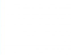 프라그마틱 정품