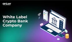 Antier -White Label Crypto Bank Company That Can Transform Your Venture