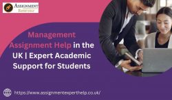 Reliable Management Assignment Help for UK University Students