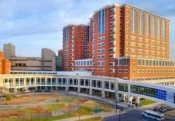 Automated Document Approvals