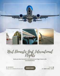 Book Your Next Domestic And International Flight Tickets