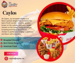 Delicious Halal Chicken Prepared with Authentic American Flavors”