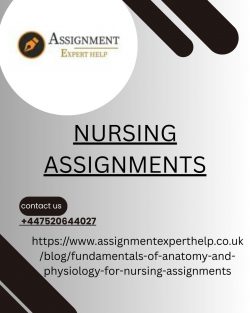 Ethical Decision-Making Through Nursing Assignments