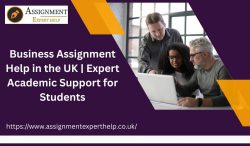 Professional Business Assignment Help in the UK | Expert Academic Support