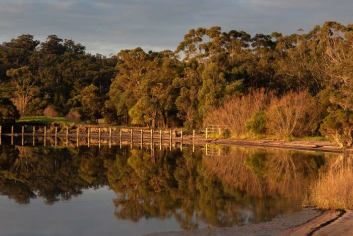Invest Smart with North Quarter: Your Guide to Buying Land in Gippsland and Newborough