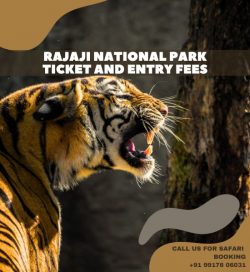 Rajaji National Park Tickets – Your Gateway to Adventure