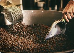 Discover the Finest Arabica Coffee Beans with Himalaya Coffee Company