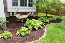 Mulching Services in Brisbane